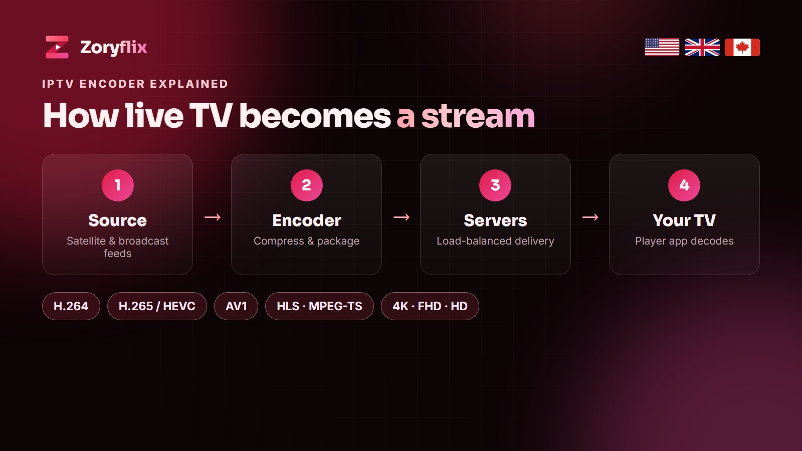 IPTV encoder explained - source, encoder, server and TV, Zoryflix